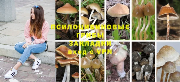 первитин Мегион