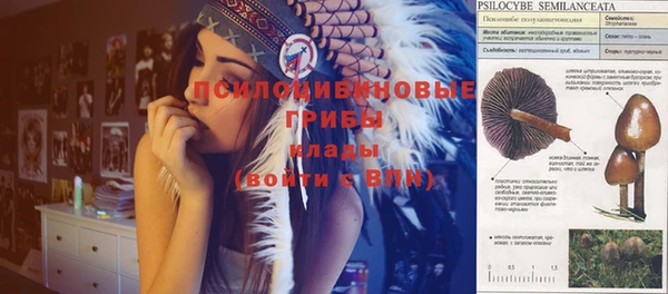 бутират Медногорск