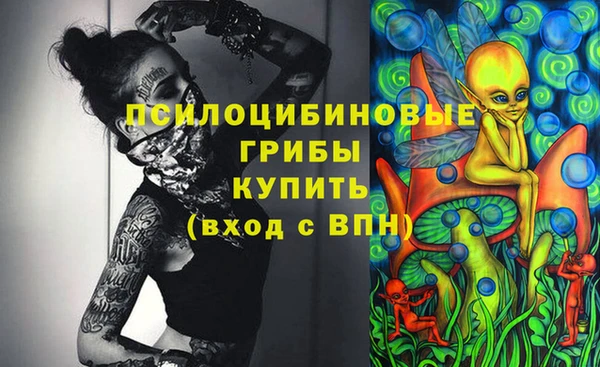 бутират Медногорск