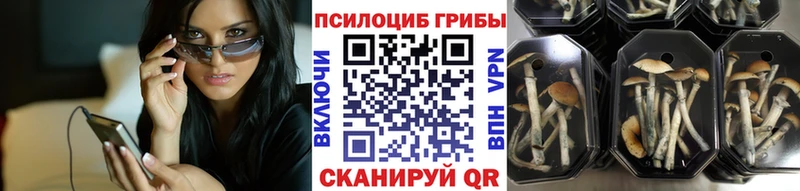 Псилоцибиновые грибы мухоморы  Купить где  Качканар 